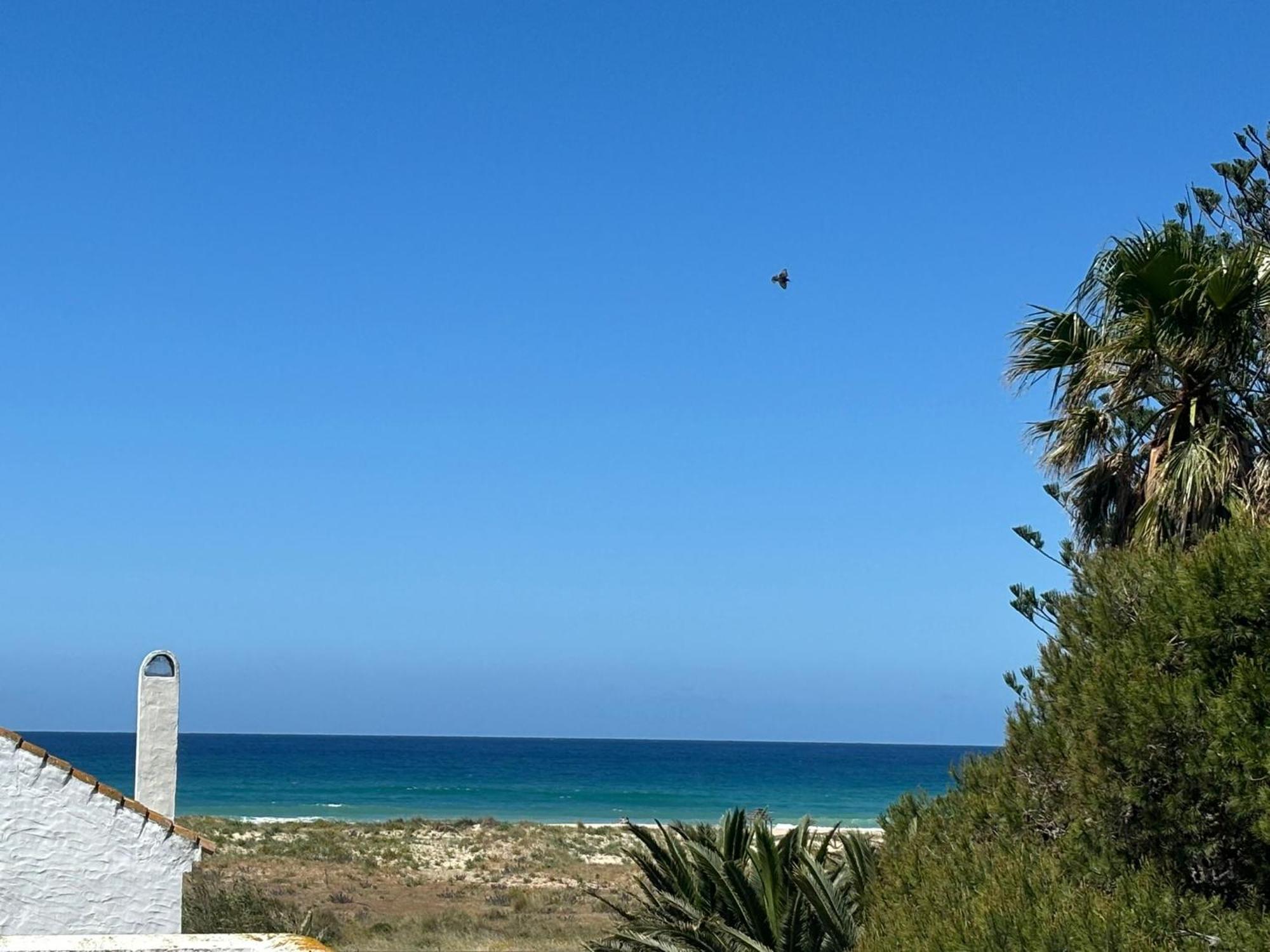 Zahara Villas Y Apartamentos Zahara de los Atunes Extérieur photo