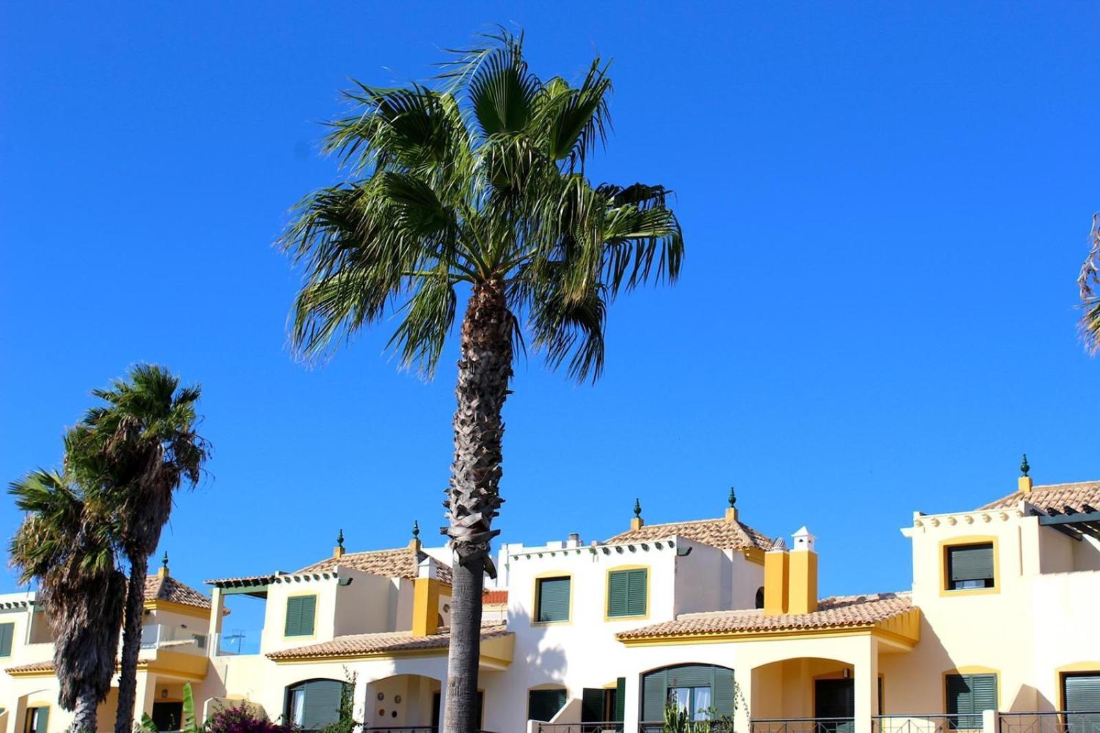 Zahara Villas Y Apartamentos Zahara de los Atunes Chambre photo